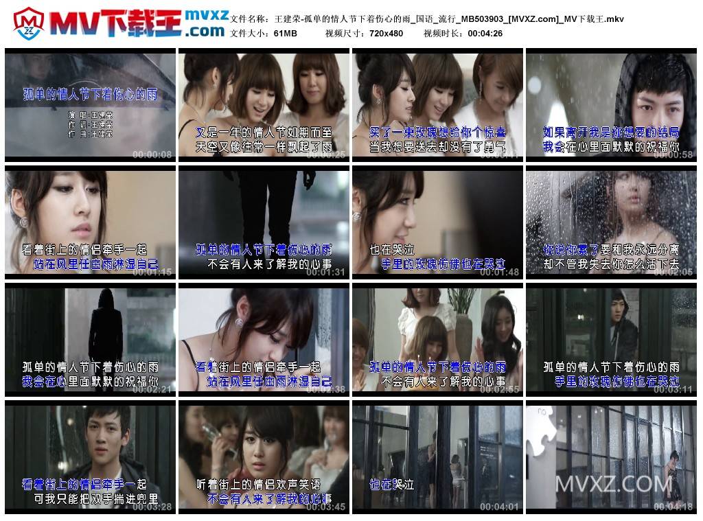 王建荣-孤单的情人节下着伤心的雨_国语_流行_MB503903